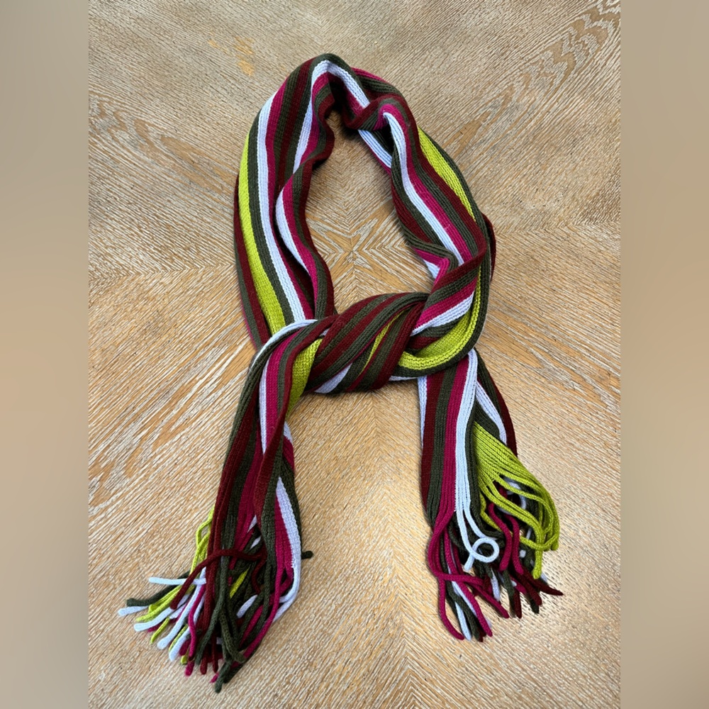 Rectangular Scarf Multi Color Stripe Fringed Ends… - image 3